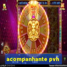 acompanhante pvh